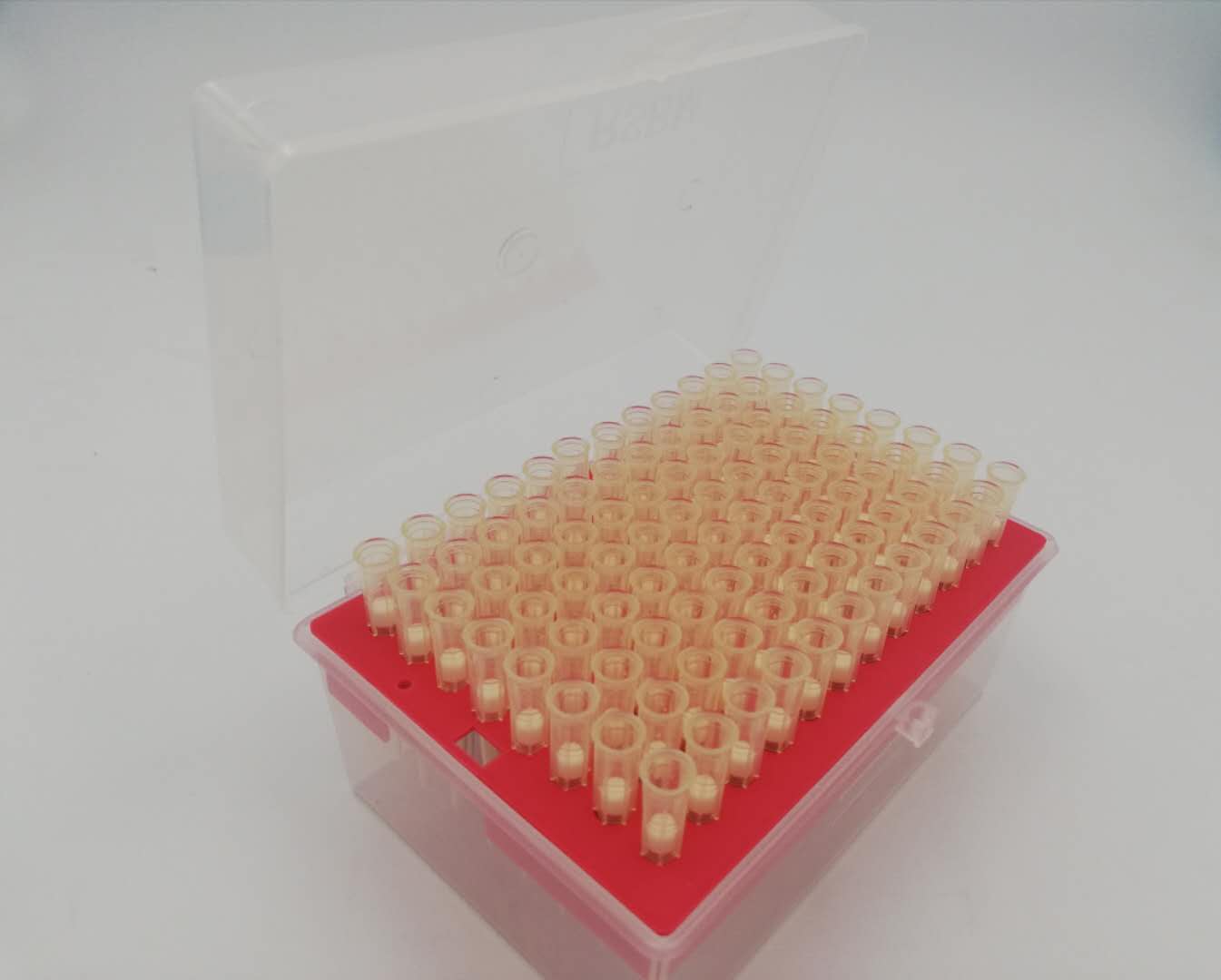 1000ul Filtered Pipette Tips